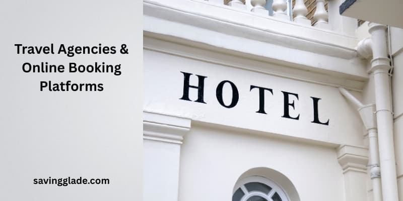Travel Agencies & Online Booking Platforms