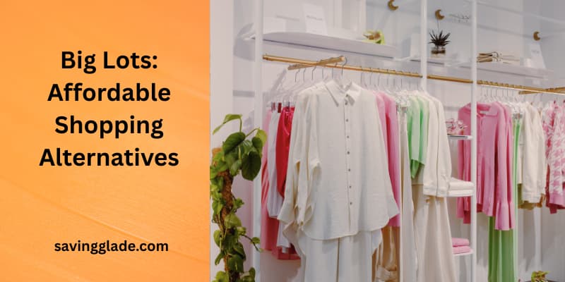 Big Lots Affordable Shopping Alternatives